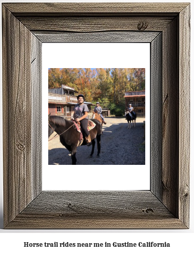 horse trail rides near me in Gustine, California